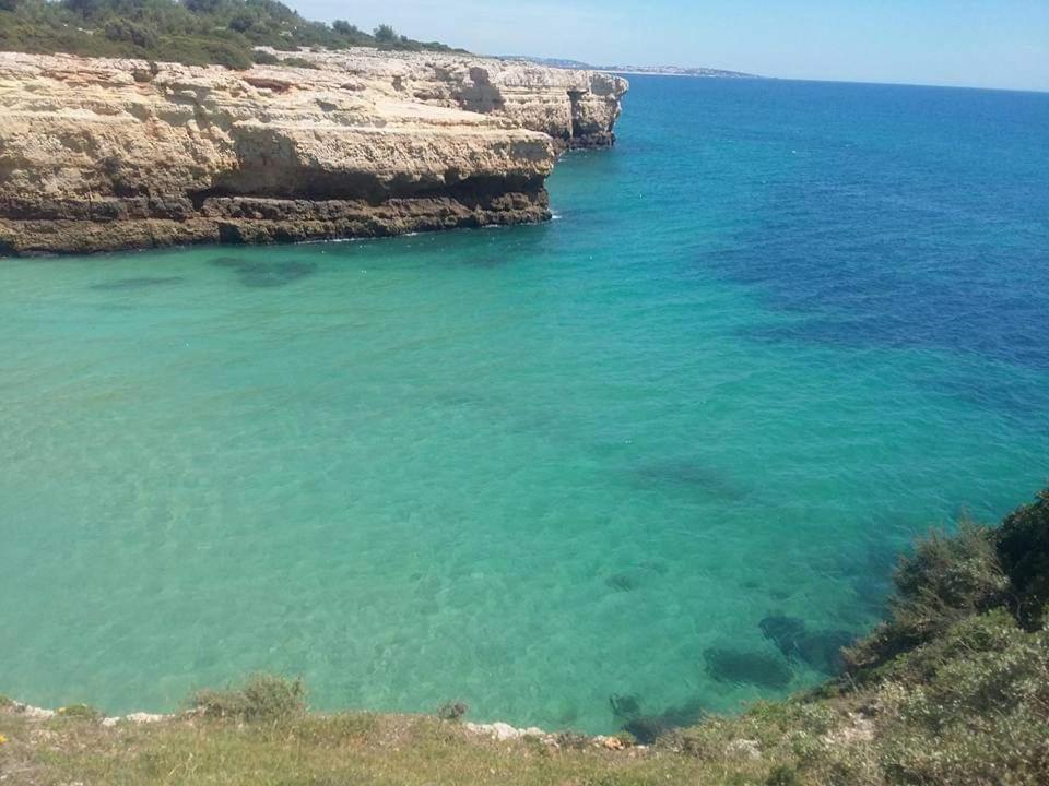 Al Algarve - Alojamento Local Com Excelente Localizacao Carvoeiro  Exterior foto
