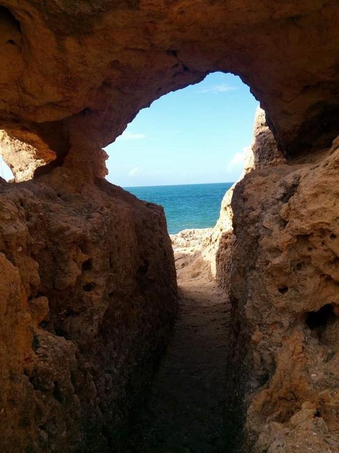 Al Algarve - Alojamento Local Com Excelente Localizacao Carvoeiro  Exterior foto