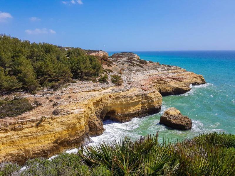 Al Algarve - Alojamento Local Com Excelente Localizacao Carvoeiro  Exterior foto